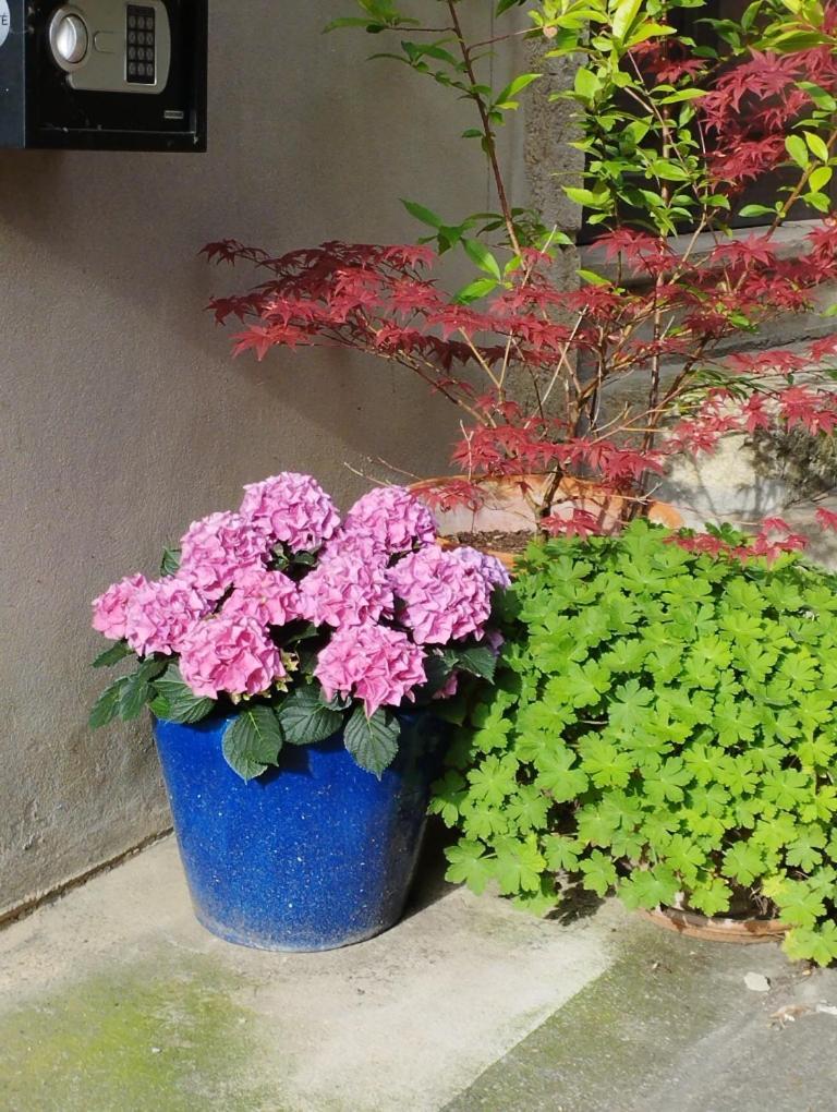 Gite Couleur Cuivre Cerdon  Extérieur photo